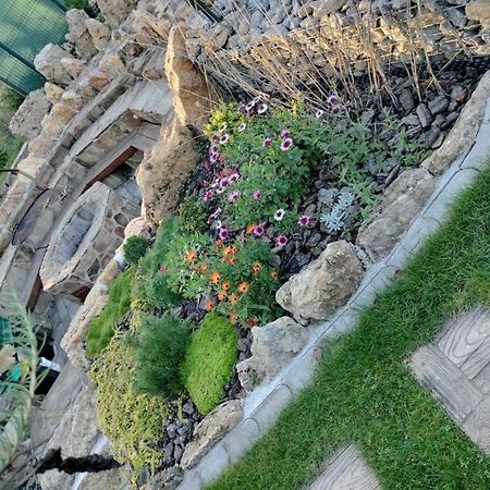 Villa Garden Бешенёва Экстерьер фото